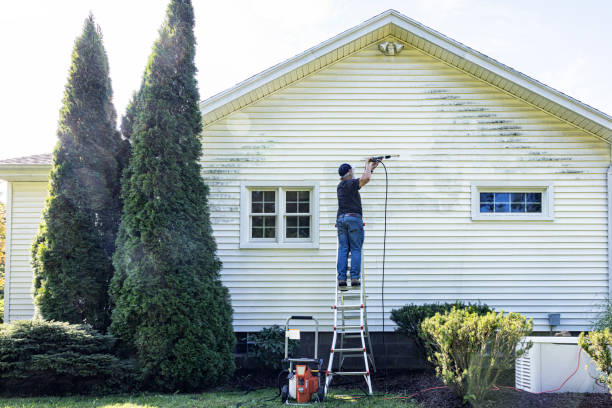 Boat and Dock Cleaning in Crawfordville, FL
